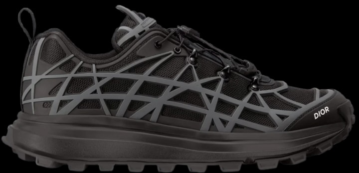 Dior B31
