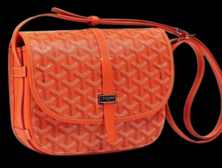30+ Goyard Bags