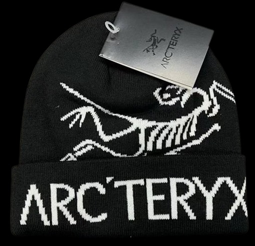 Arcteryx Beanie