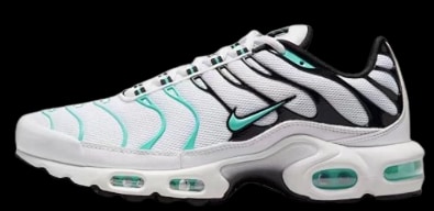 Budget Air Maxe 95's